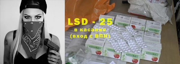 хмурый Алзамай