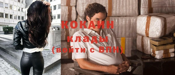 хмурый Алзамай