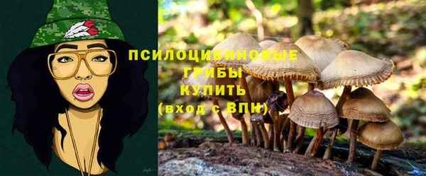 хмурый Алзамай