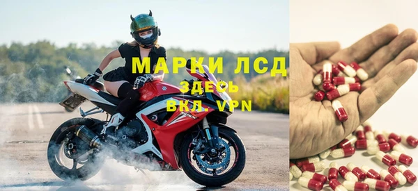 хмурый Алзамай