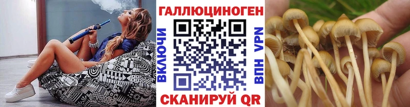 Галлюциногенные грибы Psilocybe  Северская 